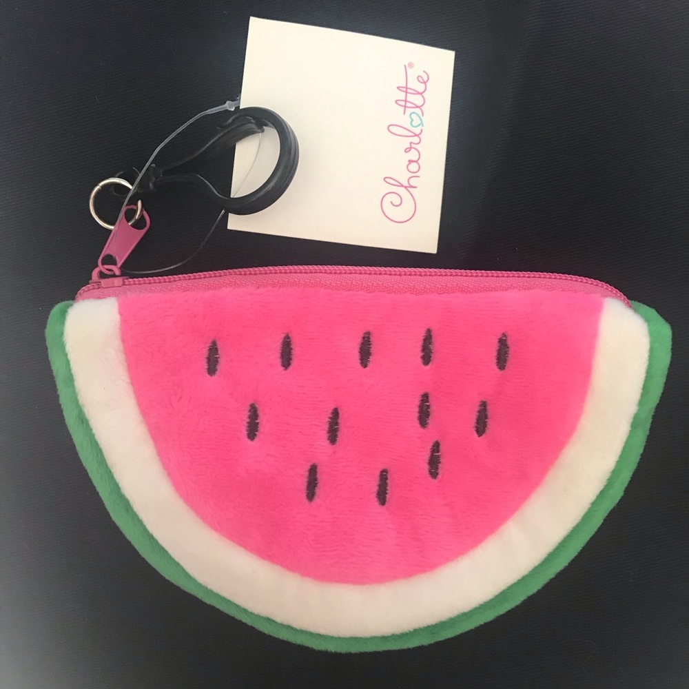 NWT watermelon zip pouch kawaii